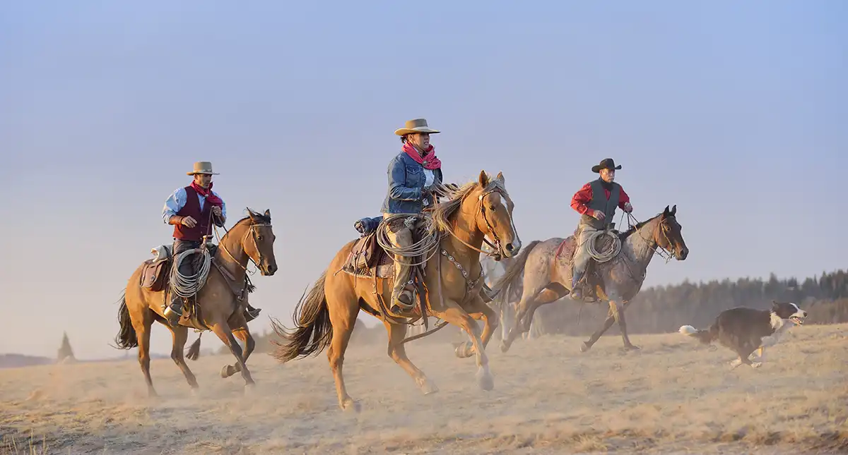 Wyoming Cowboys and Freedom | Convention of States