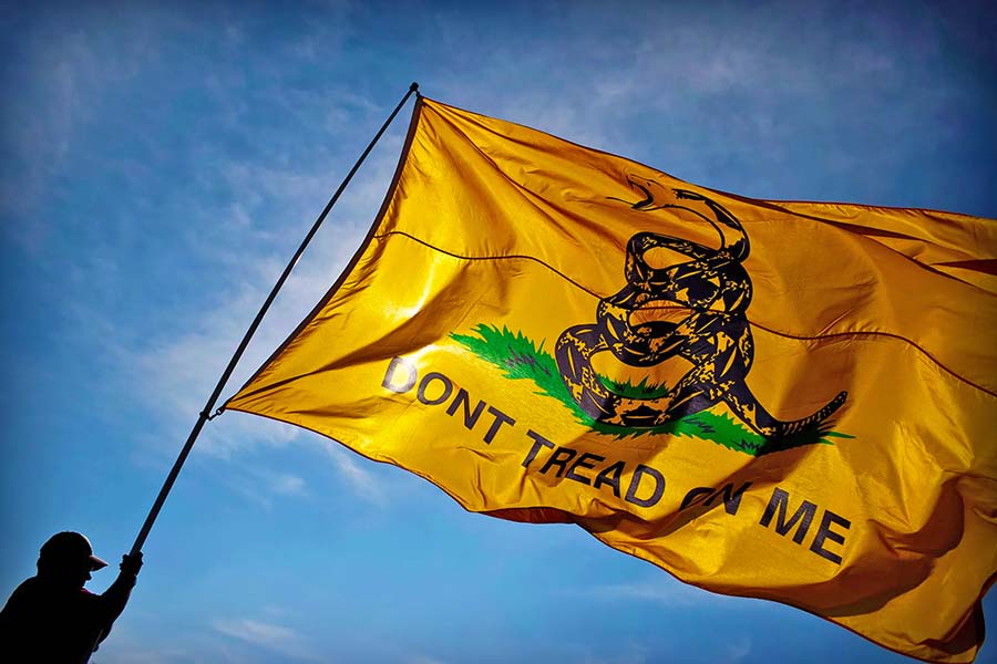 The Gadsden Flag | Don't Tread on Me